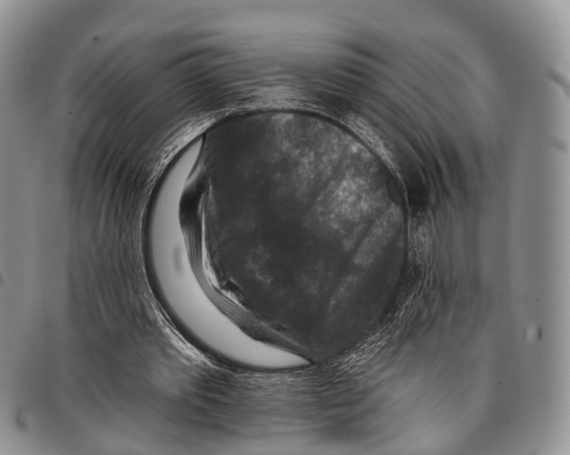 X0000096710389200803041345