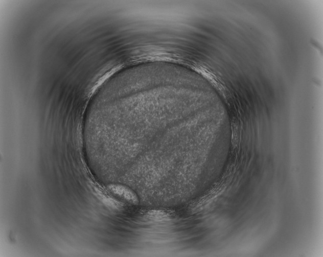 X0000096710390200803041345