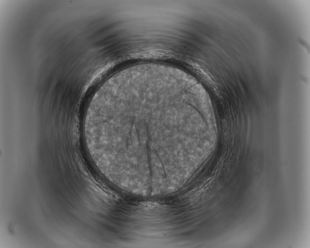 X0000096710392200803041345