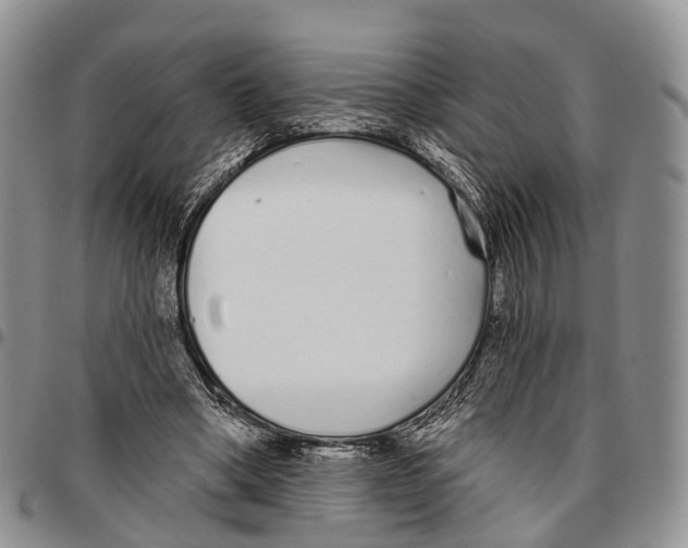 X0000096710394200803041345