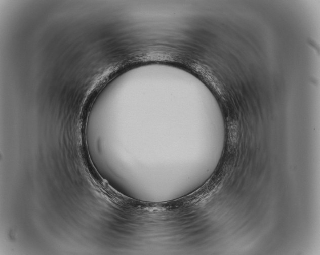 X0000096710395200803041345