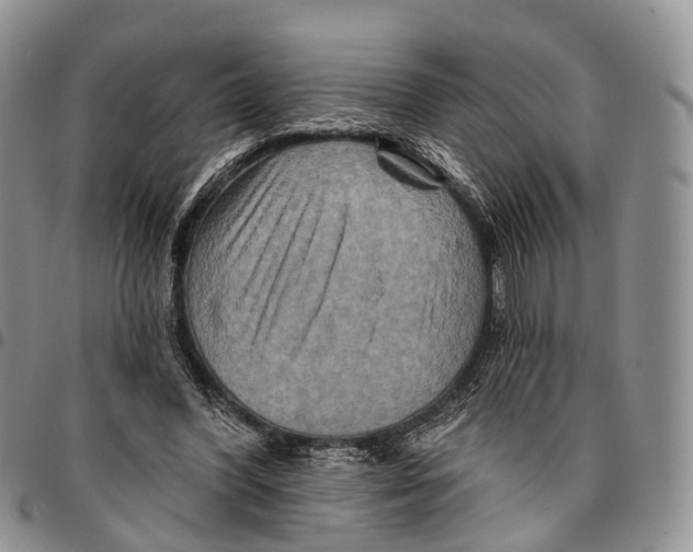 X0000096710396200803041345