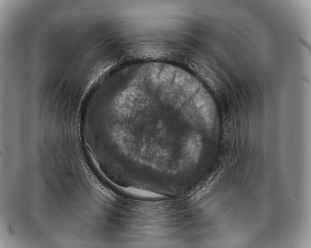 X0000096710399200803041345