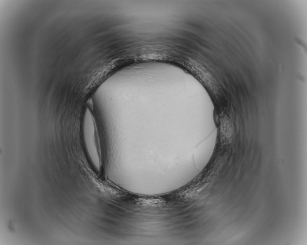 X0000096710401200803041345