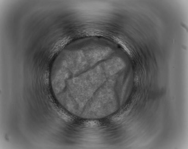 X0000096710402200803041345