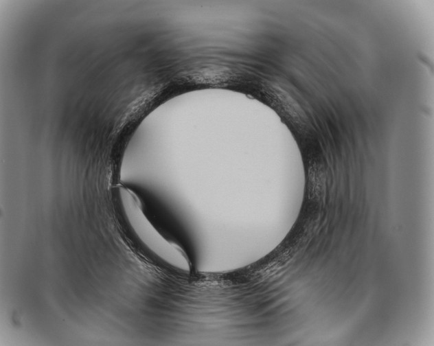 X0000096710404200803041345