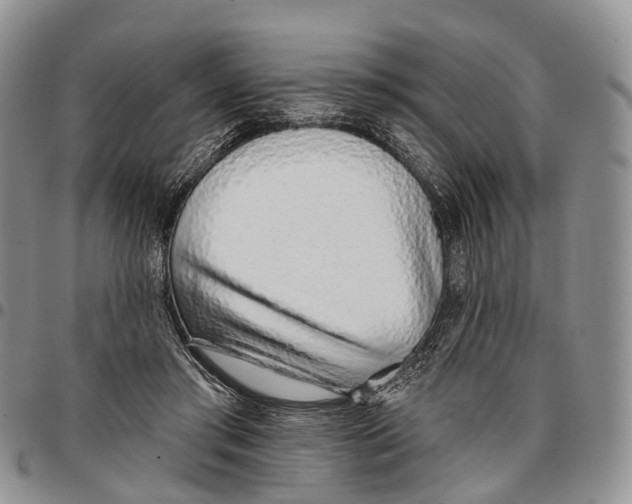 X0000096710405200803041345