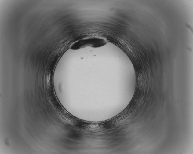 X0000096710406200803041345