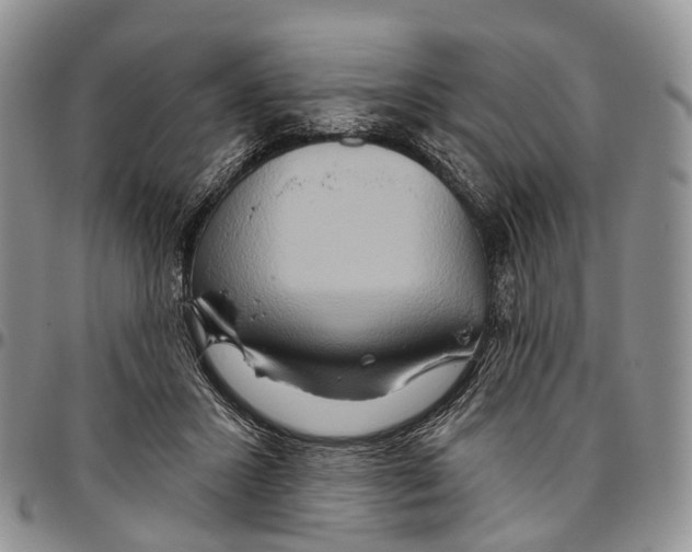 X0000096710407200803041345