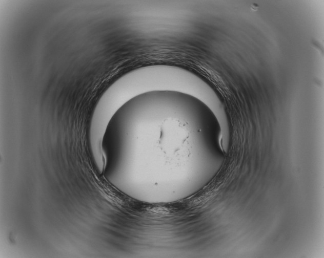 X0000096710409200803041345