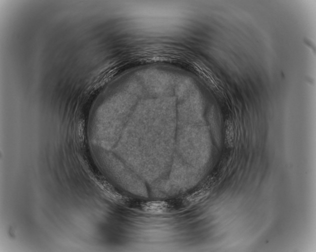 X0000096710410200803041345