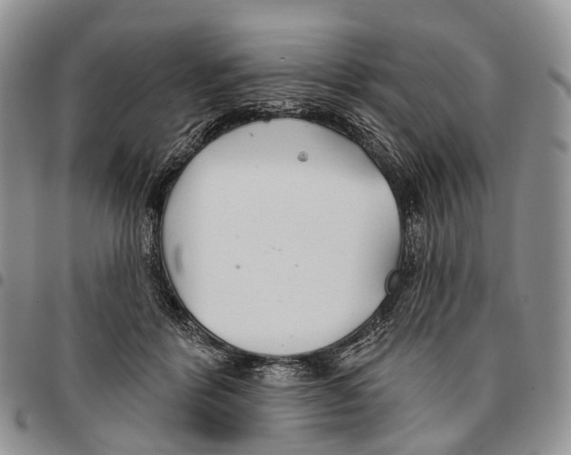 X0000096710412200803041345