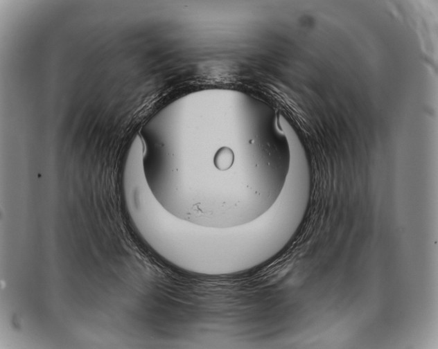 X0000096710415200803041345