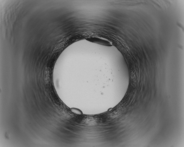 X0000096710416200803041345