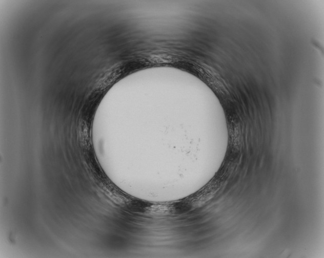 X0000096710418200803041345