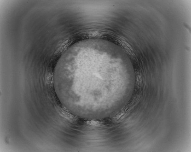 X0000096710419200803041345