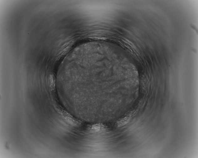 X0000096710420200803041345