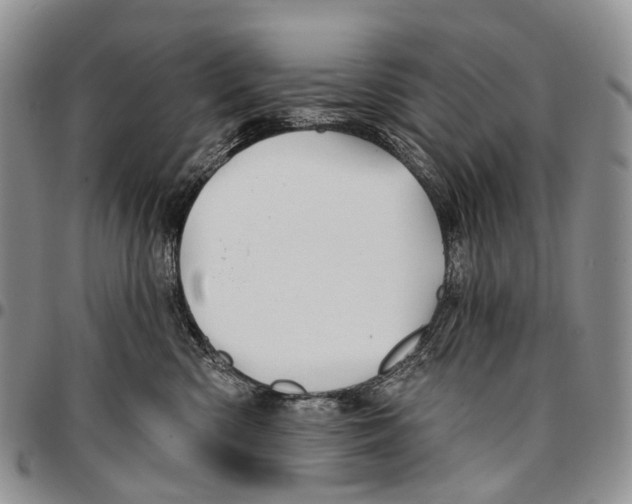 X0000096710426200803041345