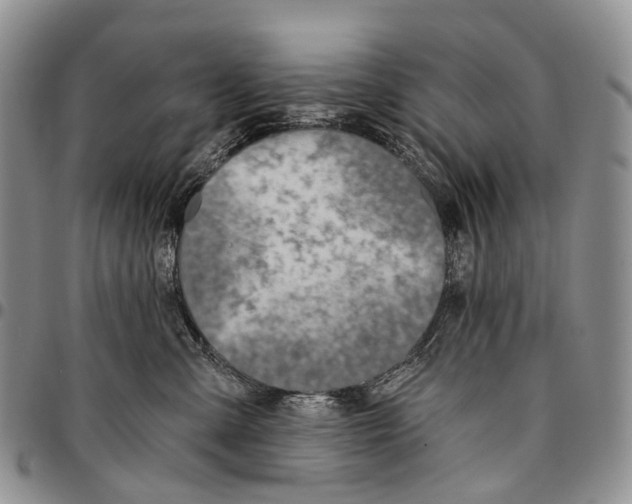 X0000096710427200803041345