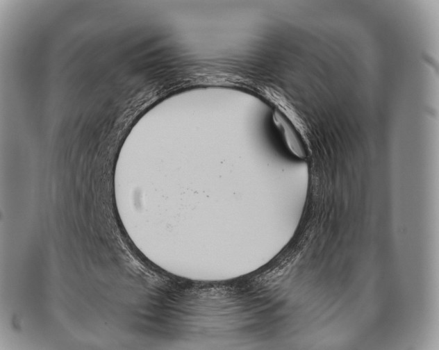 X0000096710433200803041344