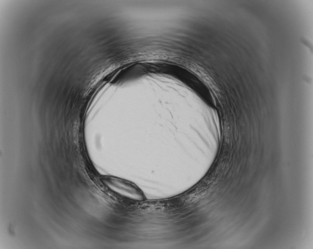 X0000096710434200803041344