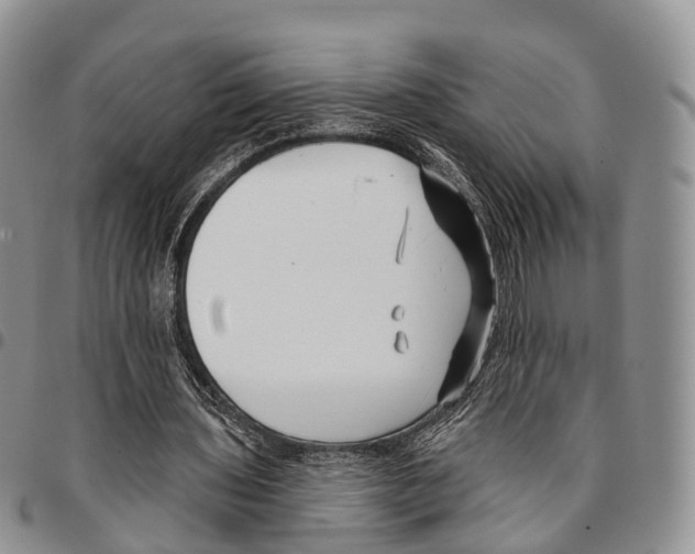 X0000096710435200803041344