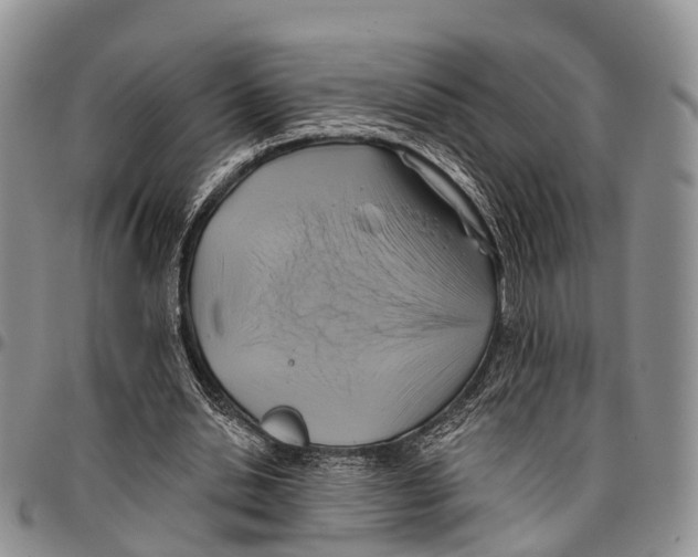 X0000096710438200803041344