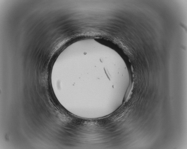 X0000096710440200803041344