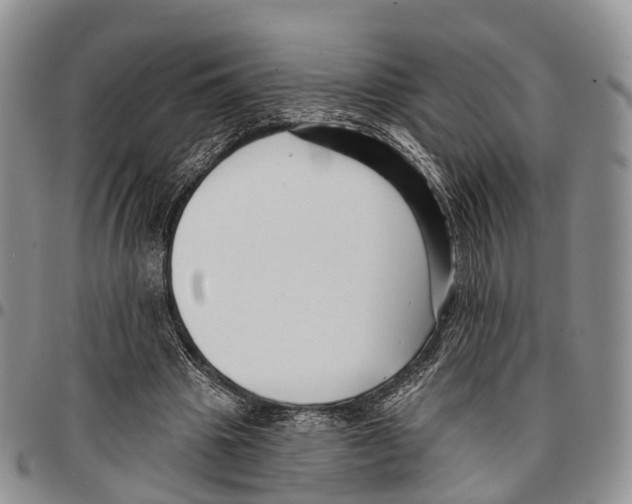 X0000096710441200803041344