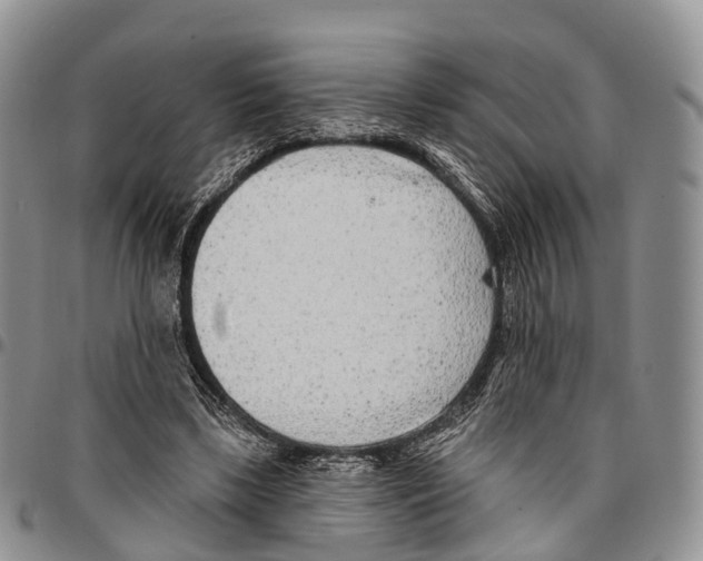 X0000096710443200803041344