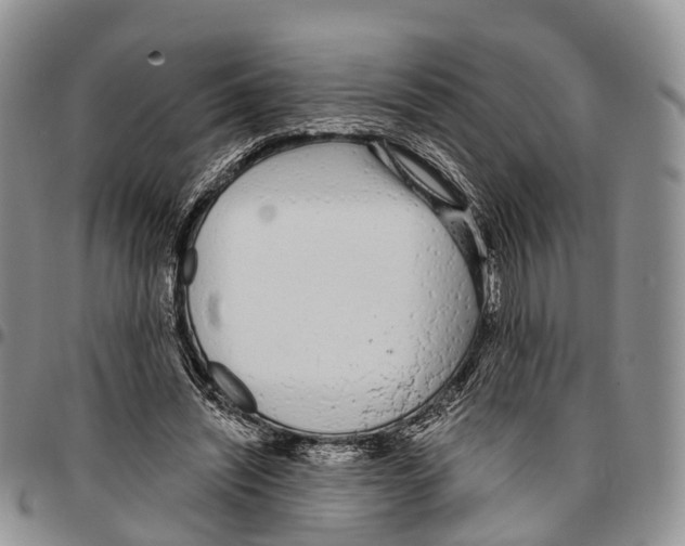 X0000096710444200803041344