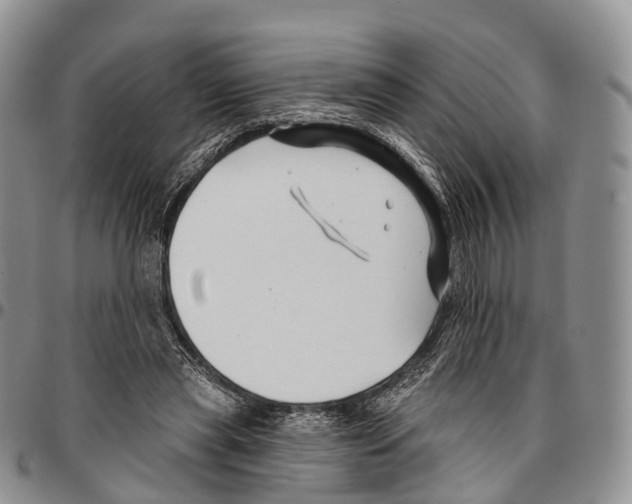 X0000096710445200803041344