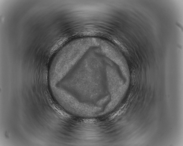 X0000096710446200803041344