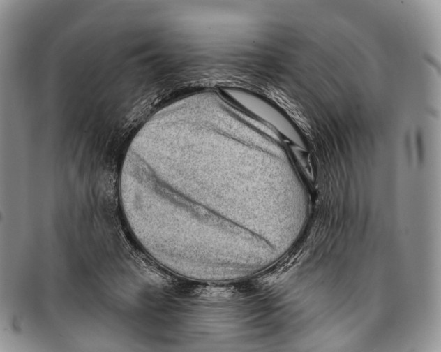 X0000096710449200803041344