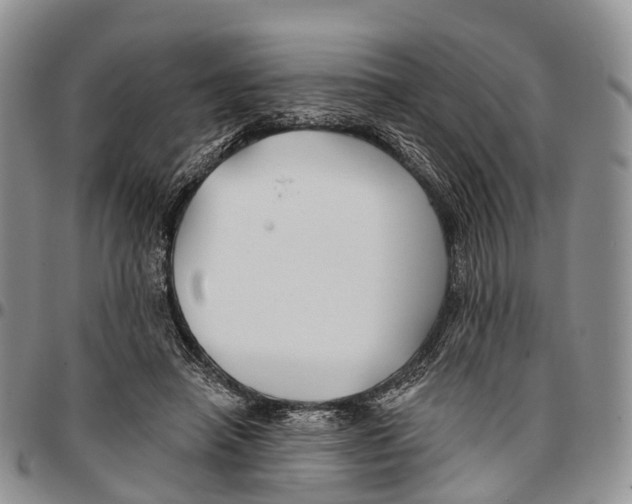 X0000096710450200803041344