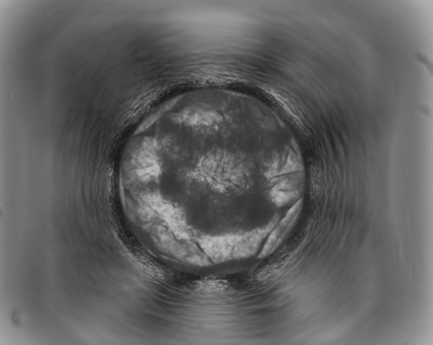 X0000096710451200803041344