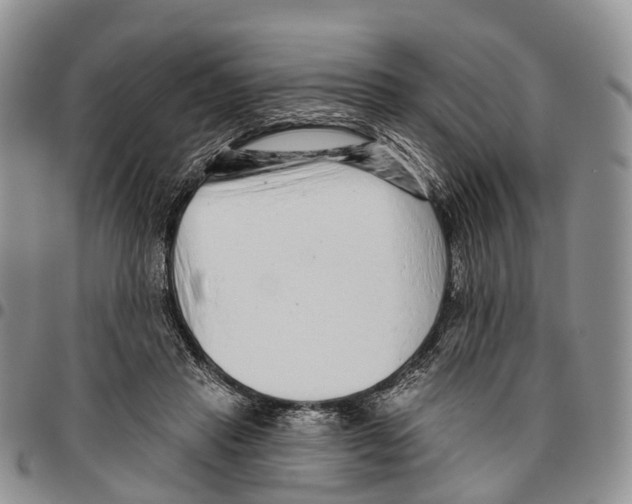 X0000096710453200803041344