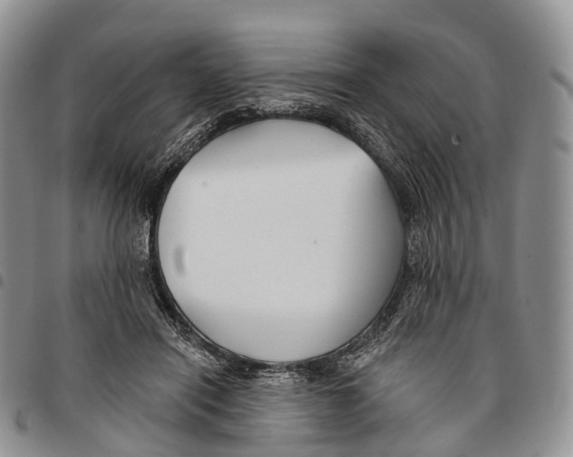 X0000096710454200803041344