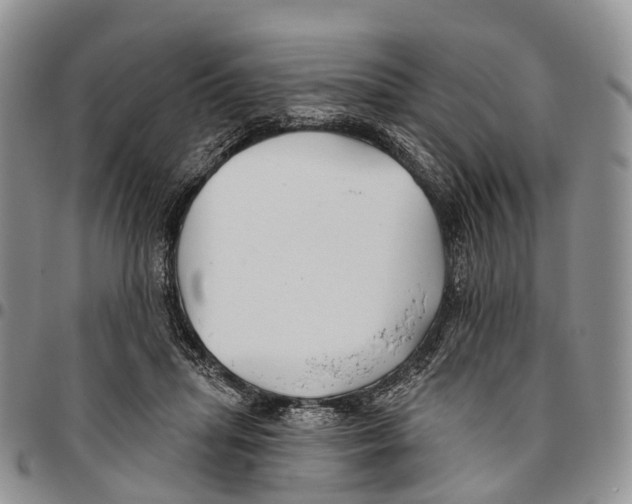 X0000096710455200803041344