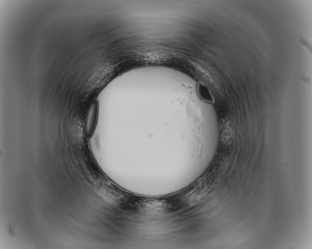 X0000096710456200803041344