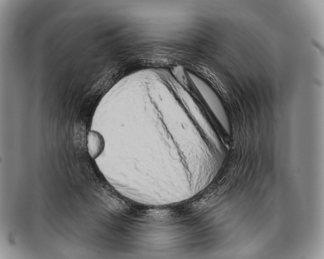 X0000096710457200803041344