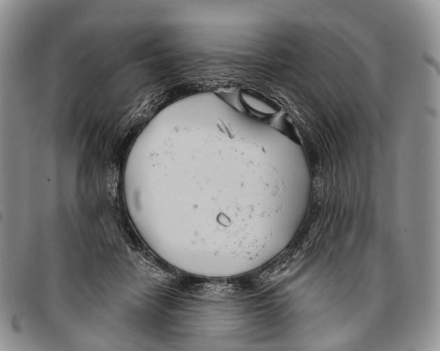 X0000096710458200803041344