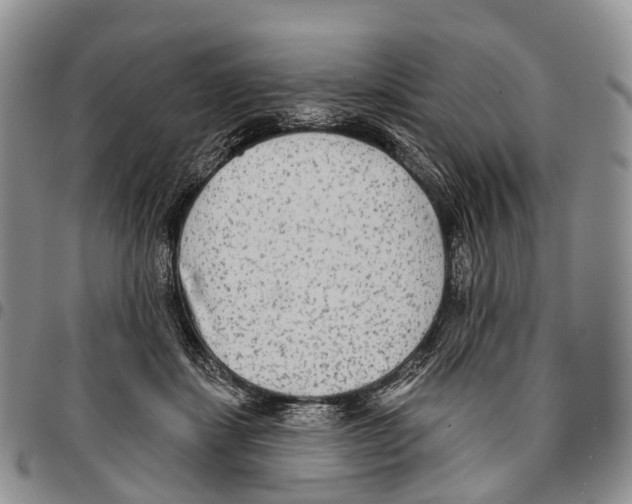 X0000096710459200803041344