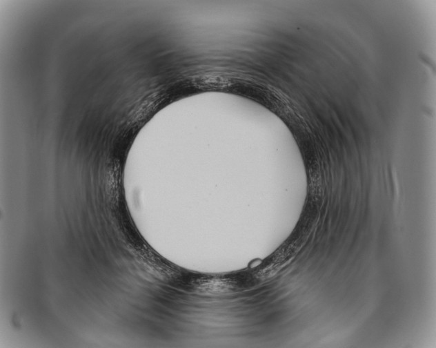 X0000096710460200803041345