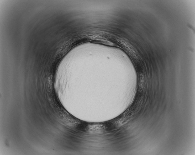 X0000096710461200803041345