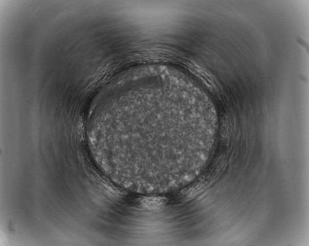 X0000096710465200803041345