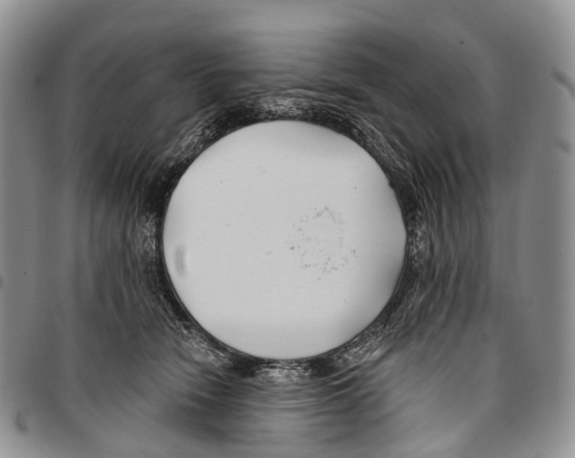 X0000096710466200803041345