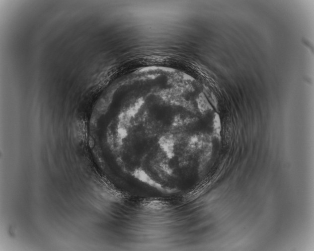 X0000096710467200803041345