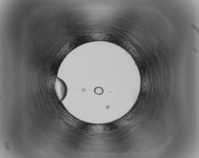 X0000096710473200803041345