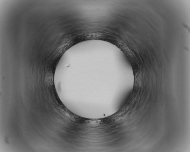 X0000096710474200803041345